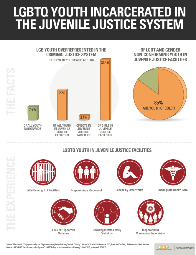 LGBTQ Youth Incarcerated in the Juvenile Justice System - The Facts & The Experiences