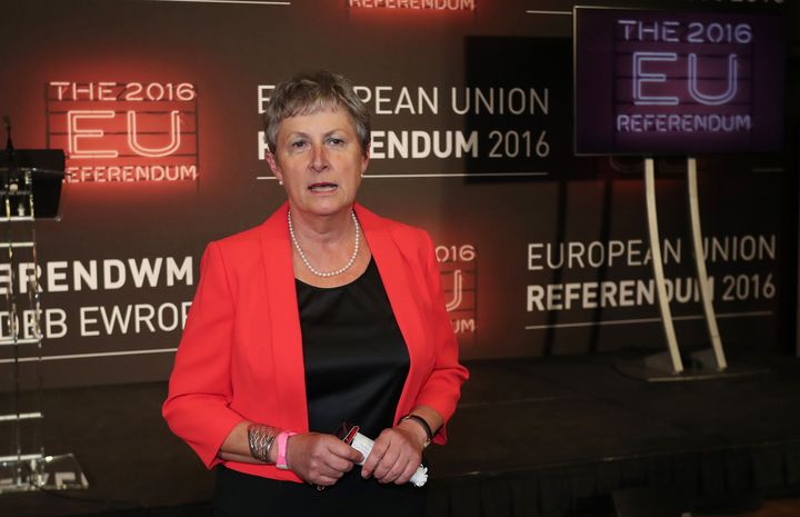 Gisela Stuart (pictured on the day after the vote to leave the EU) backed Leave but said the referendum was 'not good democracy'
