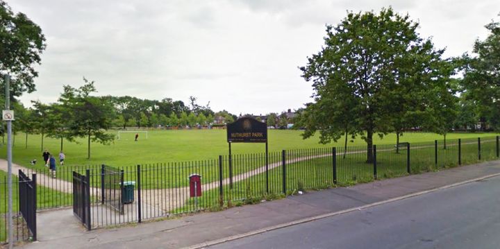 A teenage boy has been arrested on suspicion of the attempted rape of an eight-year-old girl in Nuthurst Park in Moston