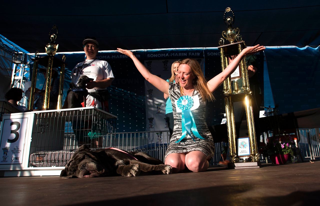 Martha's handler Shirley Zindler celebrates, while Martha snoozes. Martha won a cash prize of $1,500, as well as a trophy and a trip to New York City. 