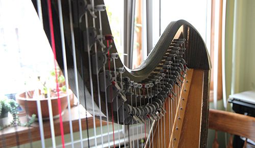 The harp has 40 strings.