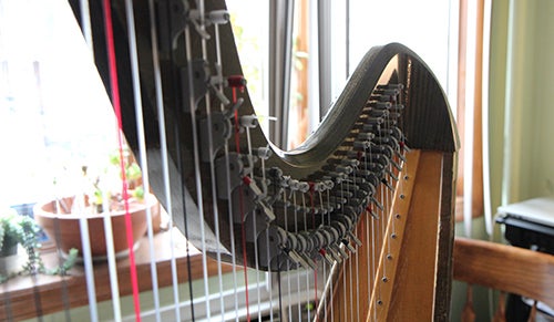 <p><strong>The harp has 40 strings.</strong></p>