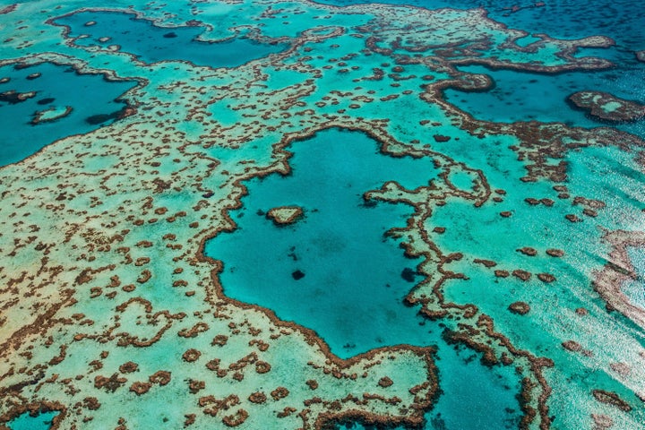 Vast swaths of Australia's Great Barrier Reef have died in recent years due to increased ocean temperatures linked to cl