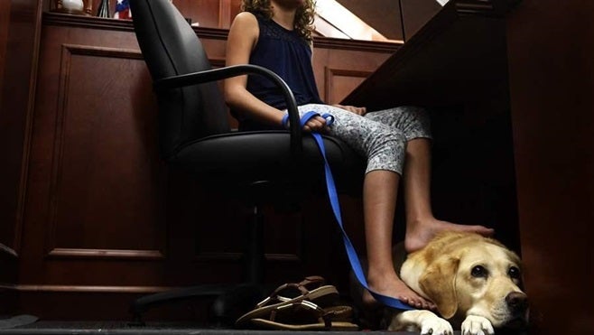 <p>A girl with a facility dog named Pella that she has helped train, in a Centennial, Colorado, courtroom. The specially trained canines are being used to help calm victims and witnesses during the legal process.</p>