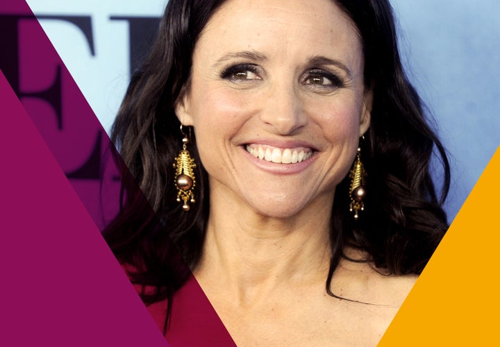 Portrait of Julia Louis Dreyfus Original Work on Paper 