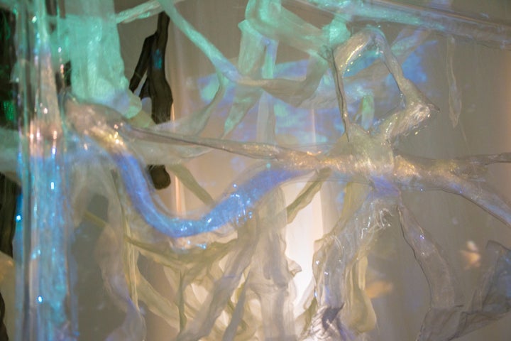 <p> Dani Dodge: Personal Territories (detail)</p>