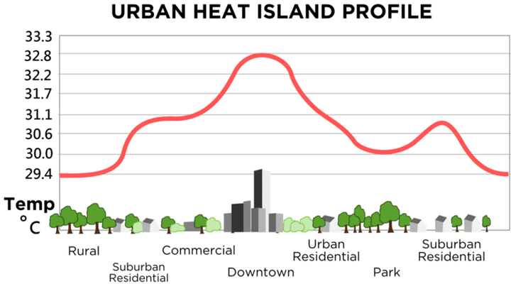  Asphalt, buildings and other urban realities can trap heat. 