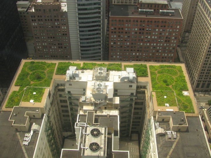 In Chicago, the City Hall’s green roof helps keep things cool.