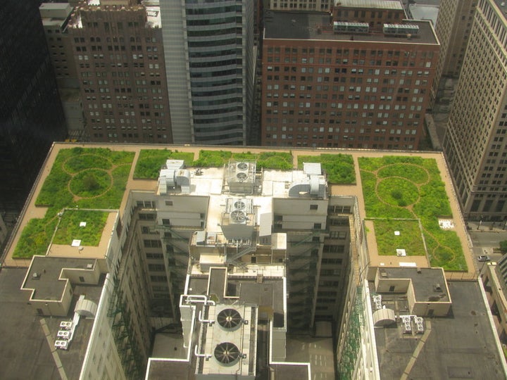  In Chicago, the City Hall’s green roof helps keep things cool. 