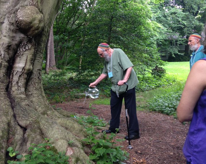 Rabbi Arthur Waskow waters the roots of a 300 year old Beech tree, symbolizing our interconnection with all life and our commitment to seek justice on Earth. This was part of the closing ritual of our multireligious leaders gathering regarding climate justice and restoration at Pendle Hill Retreat Center, June 22-23, 2017.
