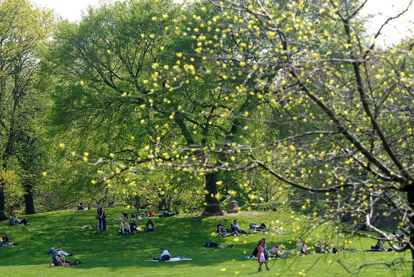 Prospect Park, Brooklyn, NYC