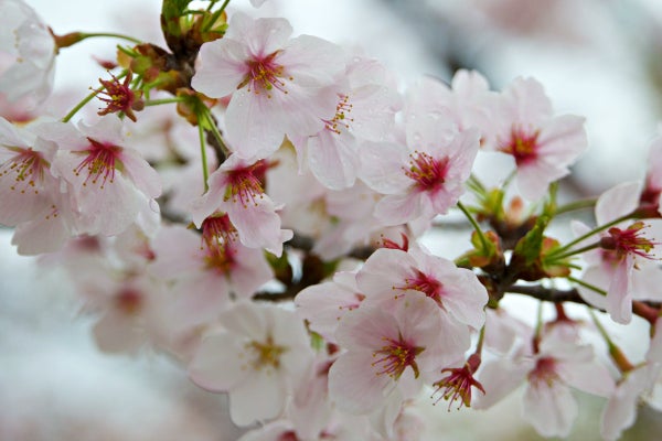<p>What if I was to soften into an understanding that it is ok that my offerings look and feel different?</p>