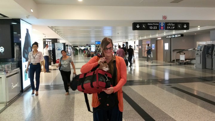 <p>Anubis at Rafic Hariri Airport in Beirut, Lebanon</p>