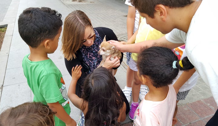 <p>Anubis making friends in the Sultanate of Oman</p>