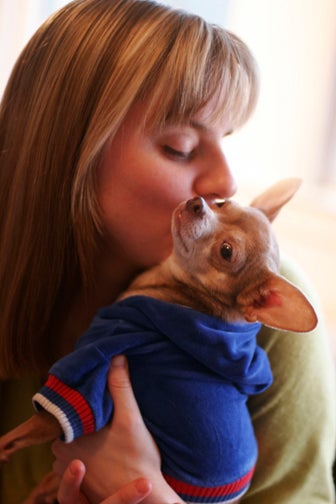 <p>Worshipping Anubis</p>