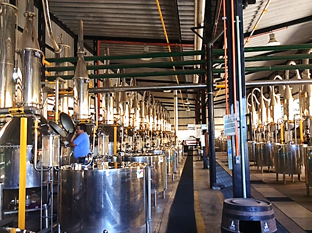 Stills at the Herradura distillery