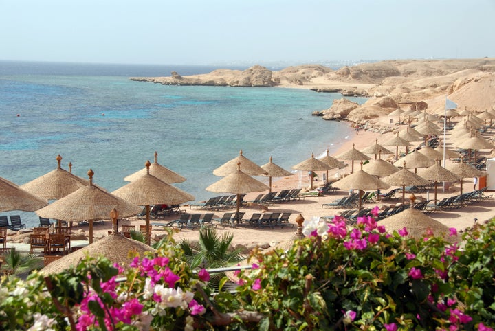 Bougainvilleas bloom along the Red Sea near Sharm el Sheikh. 