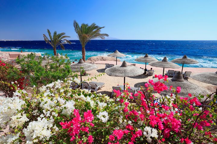 The Renaissance Golden View Beach Resort in Sharm el Sheikh. 