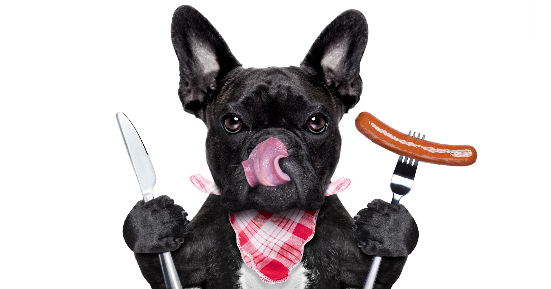 Lost Dogs Found When Desperate Owners Cook Sausage To Lure Them Home