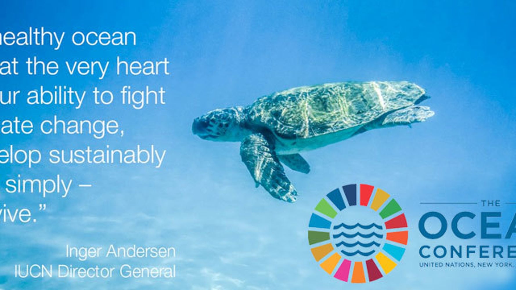 A Look Back At The 2017 United Nations Ocean Conference | HuffPost