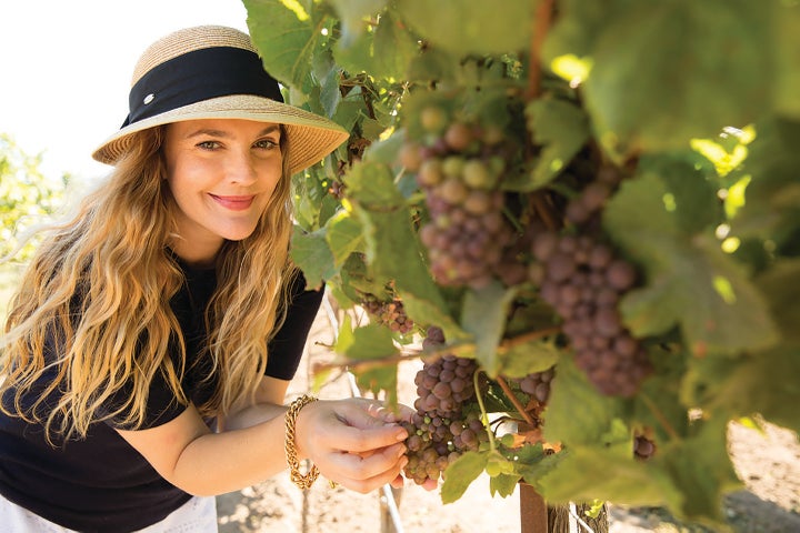 Drew Barrymore checking on the grapes of her Carmel Road vineyard.