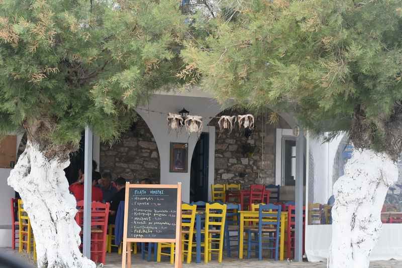 Octopus, Antiparos.