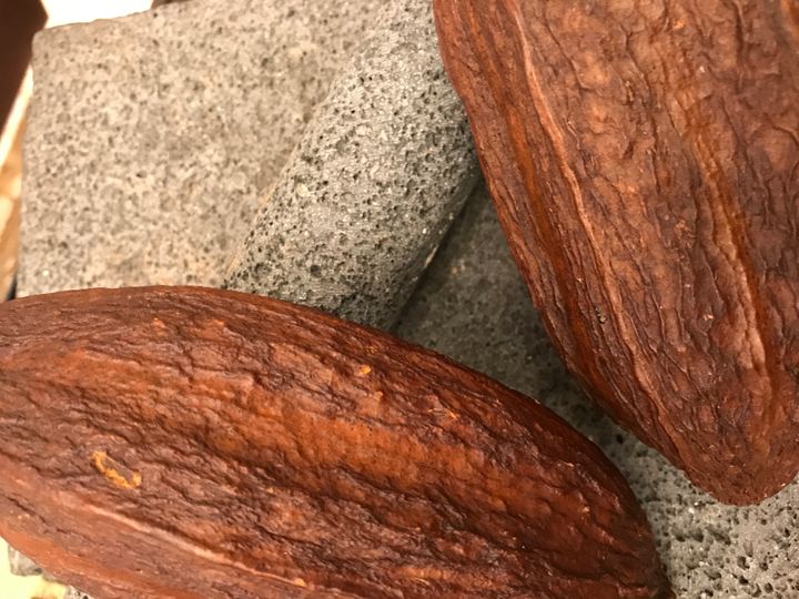 Dried cocoa pods on a chocolate stone