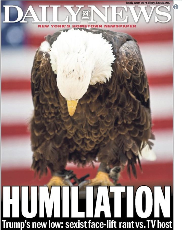 In a recent front page photograph, the New York Daily News used one of our national symbols, the bald eagle, to display the dismay of many Americans in response to the President’s recent offensive Tweets.