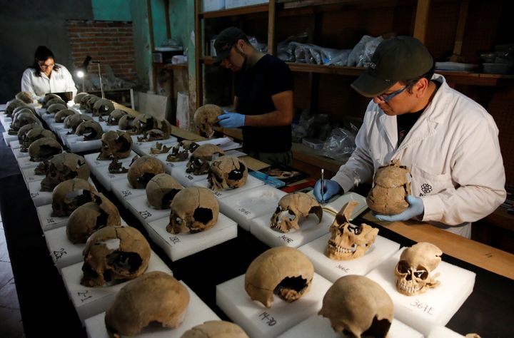 Abel Guzman, Rodrigo Bolanos and Miriam Castaneda from the National Institute of Anthropology and History (INAH) examine skulls at the site. 