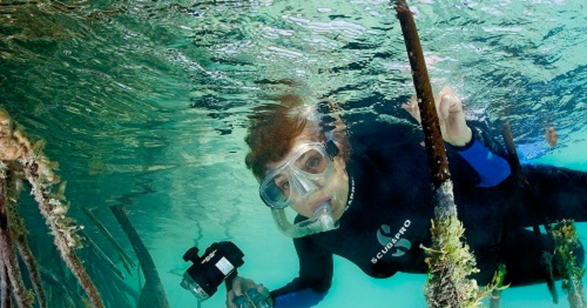 Mission Blue Sylvia Earle's Quest to Protect the World's Ocean HuffPost Contributor