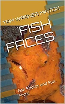 Also available as an ebook on <a rel="nofollow" href="https://www.amazon.com/FISH-FACES-Photos-Facts-Friends-ebook/dp/B071DT6