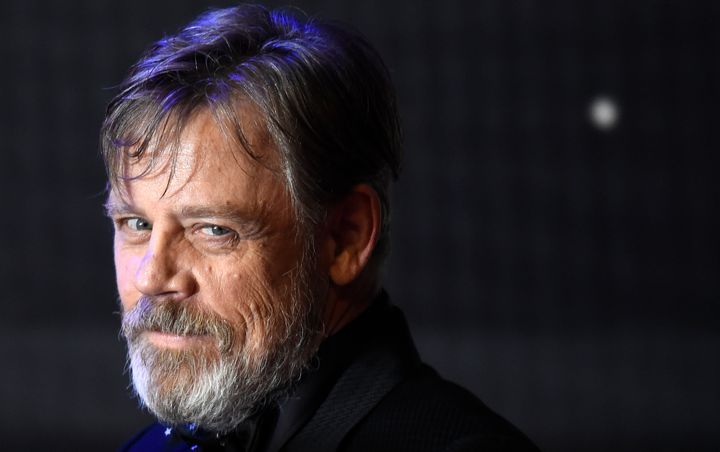 "Star Wars" actor Mark Hamill zinged President Donald Trump over his voter fraud commission. 