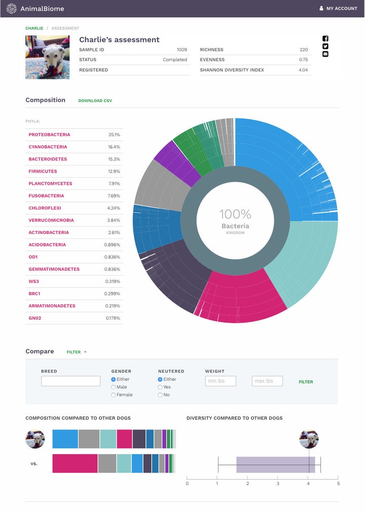 <p>AnimalBiome Dashboard</p>