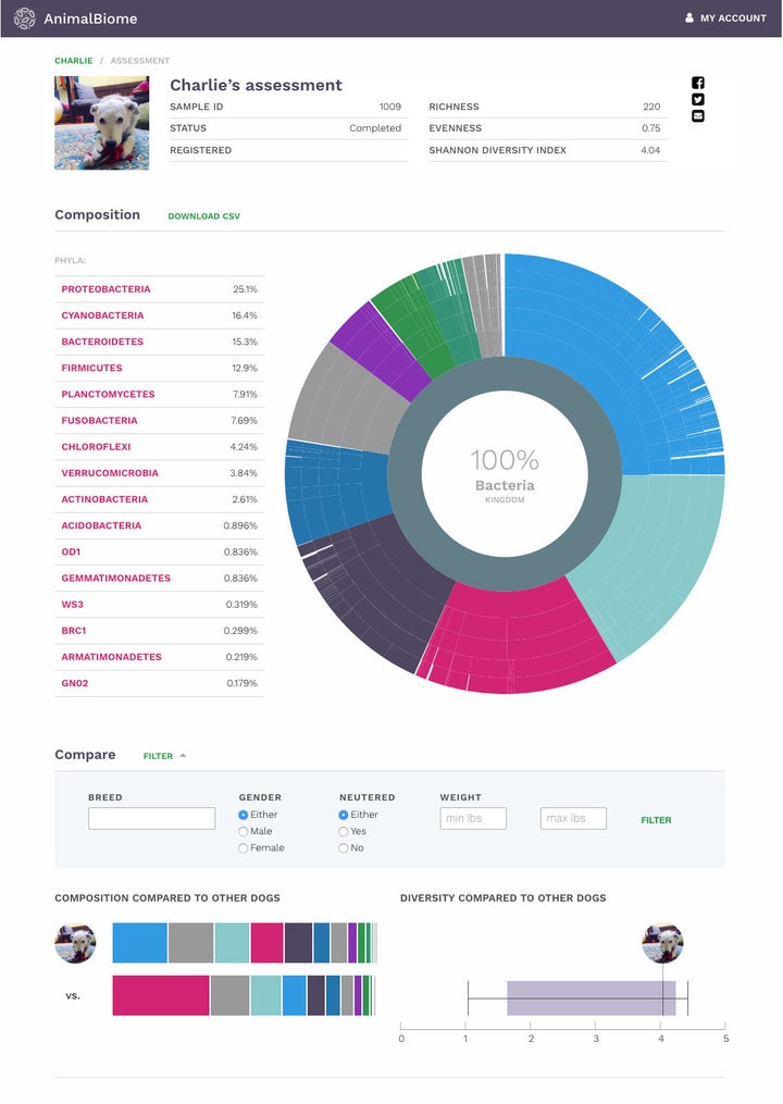 AnimalBiome Dashboard