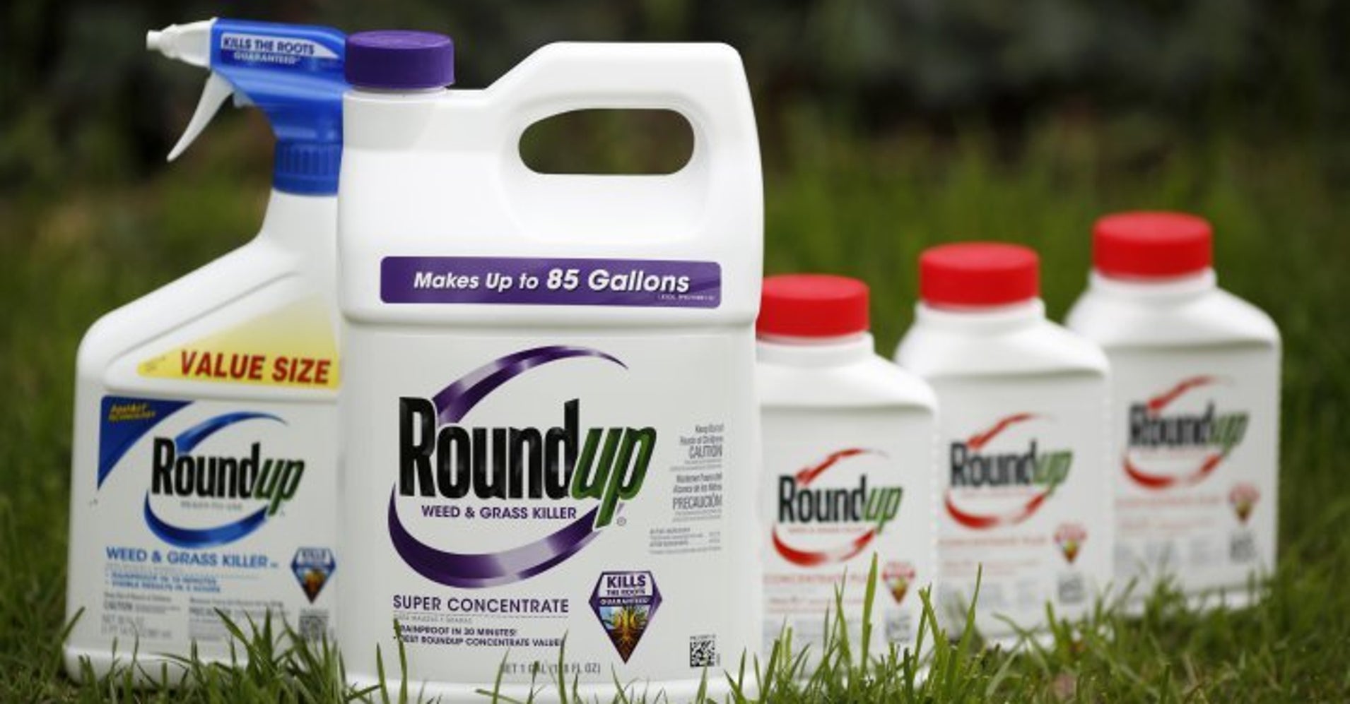 Controversy, Questions Surround California’s Listing Of Weed Killer As