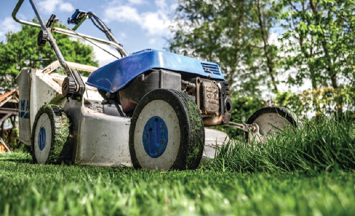 <p><strong><em>#4 Lawn Maintenance</em></strong></p>