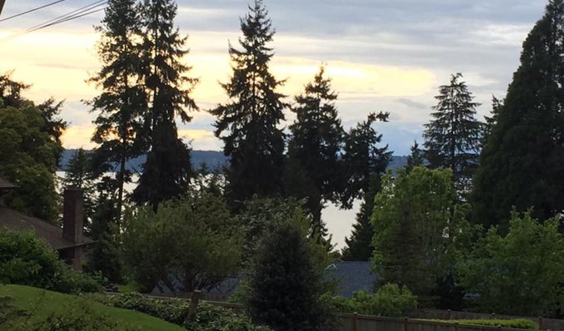 Hearts in the trees. SEATTLE!