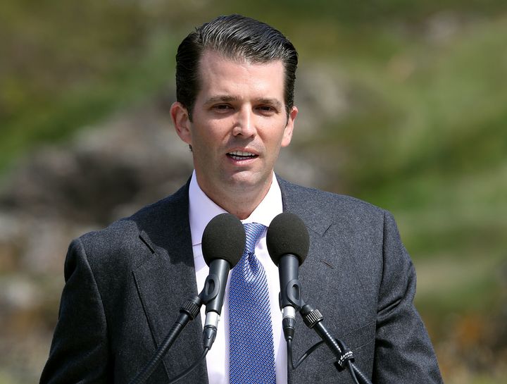 Donald Trump Jr. met a Kremlin-linked lawyer during last years presidential campaign, according to reports
