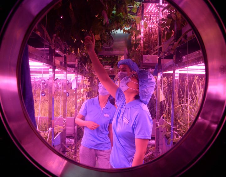 The experiment aims to help Beijing achieve its long-term goal of putting humans on the moon.