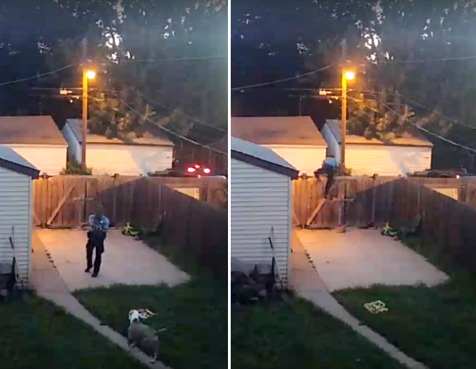 Surveillance images show a man identified as a Minneapolis police office shooting a dog that approached him in the backy