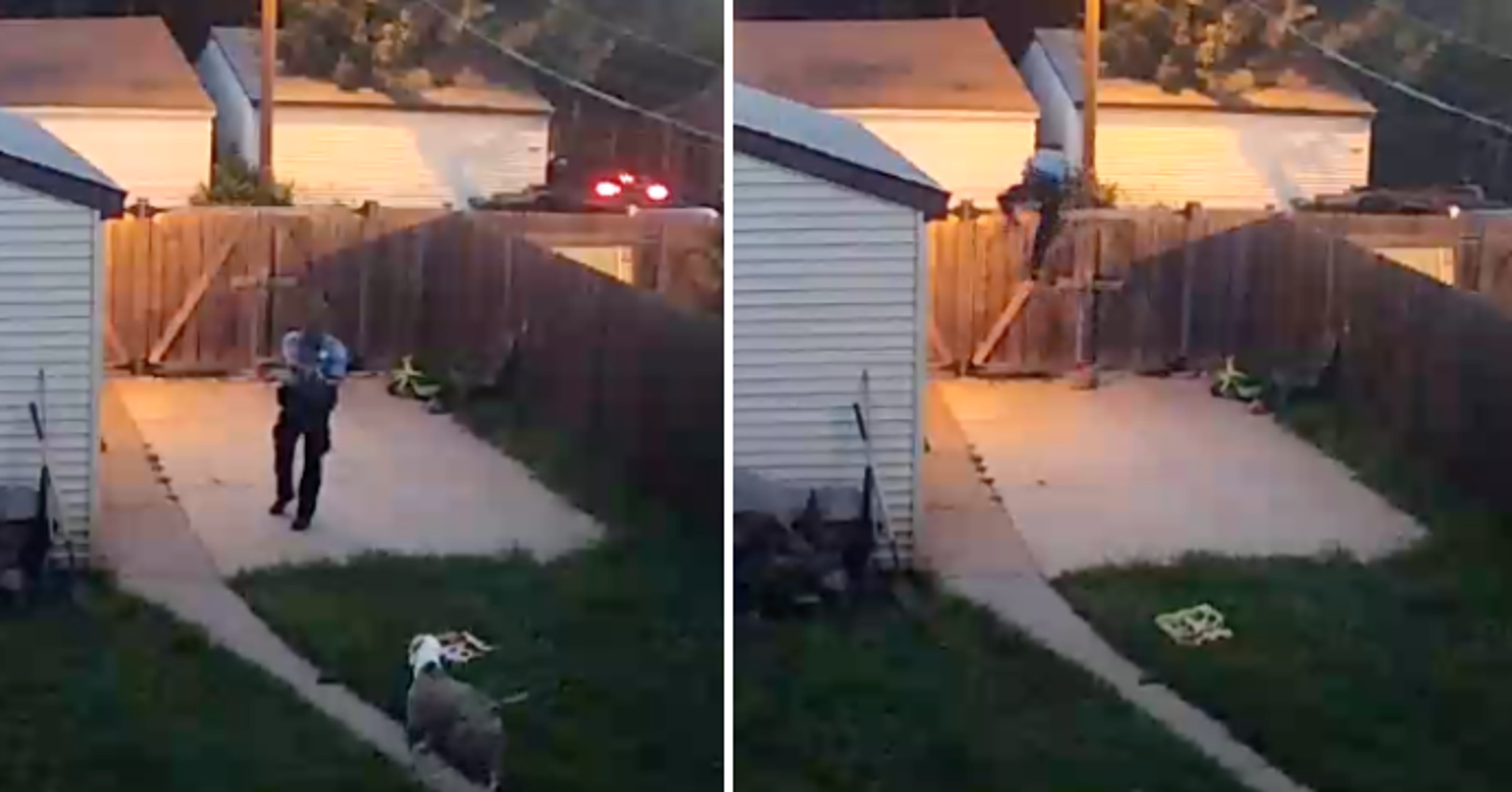 Disturbing Video Shows Cop Shooting Family's Dogs In Fenced Backyard
