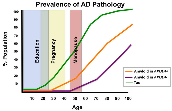 To Understand Sex Differences In Alzheimer’s Disease We Need To Understand Risk Factors Across