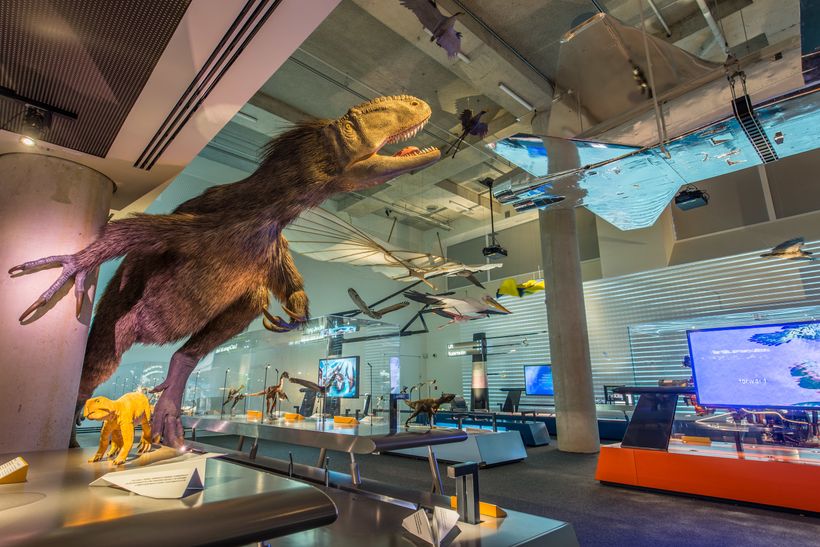 Miami Science Museum: A Comprehensive Guide | HuffPost