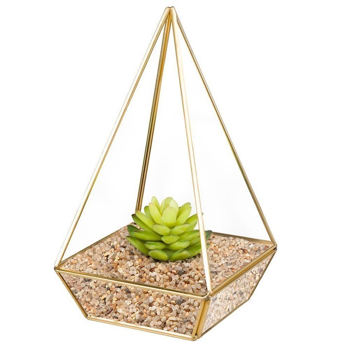 This glass tabletop terrarium is only $28.99 on Amazon during Prime Day.