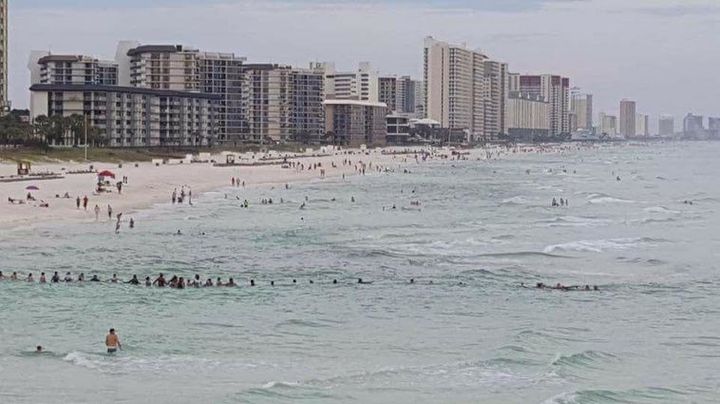 Several dozen people are seen forming a human chain to rescue swimmers that got caught in a rip current off Florida's coast over the weekend.