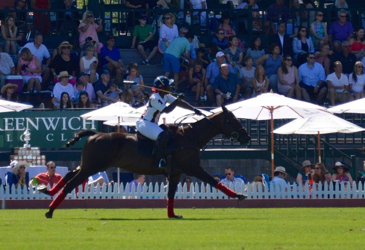  Shariah Harris just became the first black woman to play high-goal polo, the top tier of U.S. polo.