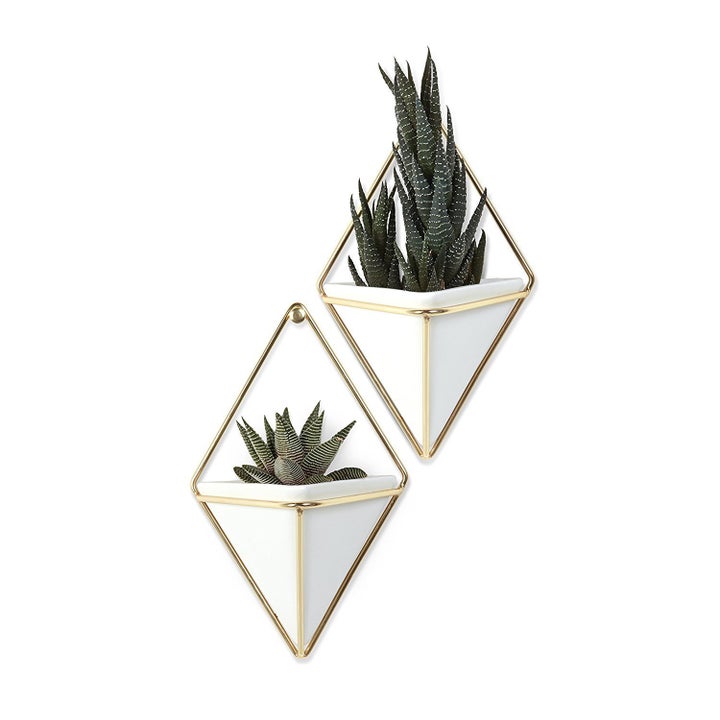 Prime members can save an additional 20% off of $24.99 on a set of two geometric wall hangers from Umbra.