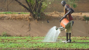 http://1.kaduya.com/news/481f599437.html