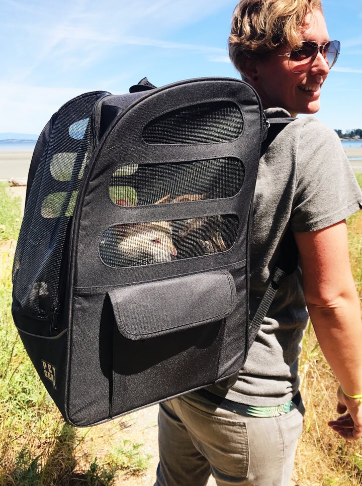 <p>Me and the cats - this is how they travel while we’re out exploring. My back is getting strong :) </p>