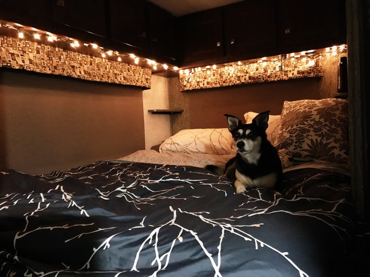 <p>Kirschi enjoying the mood lighting in our home on wheels</p>